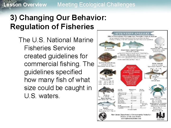 Lesson Overview Meeting Ecological Challenges 3) Changing Our Behavior: Regulation of Fisheries The U. Lesson Overview Meeting Ecological Challenges 3) Changing Our Behavior: Regulation of Fisheries The U.