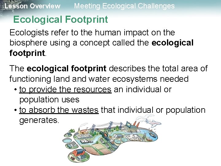 Lesson Overview Meeting Ecological Challenges Ecological Footprint Ecologists refer to the human impact on Lesson Overview Meeting Ecological Challenges Ecological Footprint Ecologists refer to the human impact on
