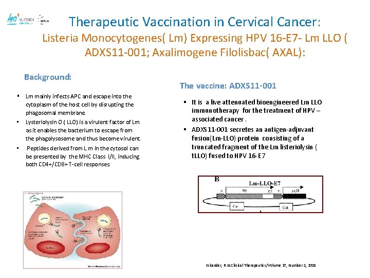 Therapeutic Vaccination in Cervical Cancer: Listeria Monocytogenes( Lm) Expressing HPV 16 -E 7 -