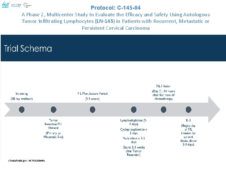 Protocol: C-145 -04 A Phase 2, Multicenter Study to Evaluate the Efficacy and Safety