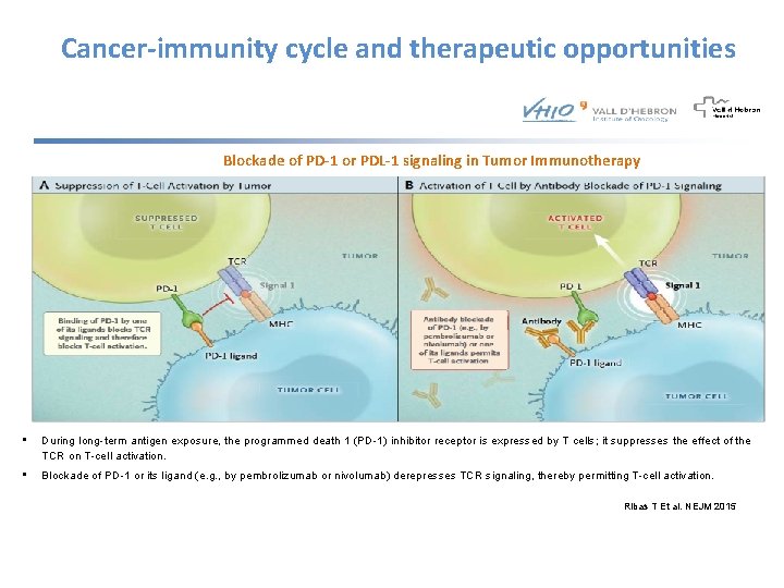 Cancer-immunity cycle and therapeutic opportunities Blockade of PD-1 or PDL-1 signaling in Tumor Immunotherapy