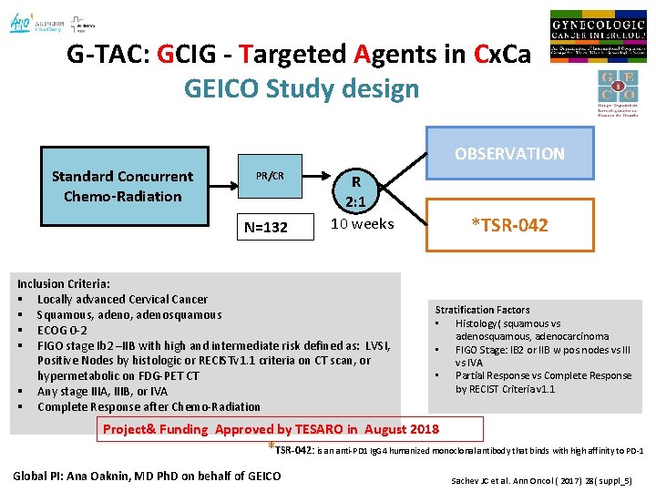 G-TAC: GCIG - Targeted Agents in Cx. Ca GEICO Study design OBSERVATION Standard Concurrent