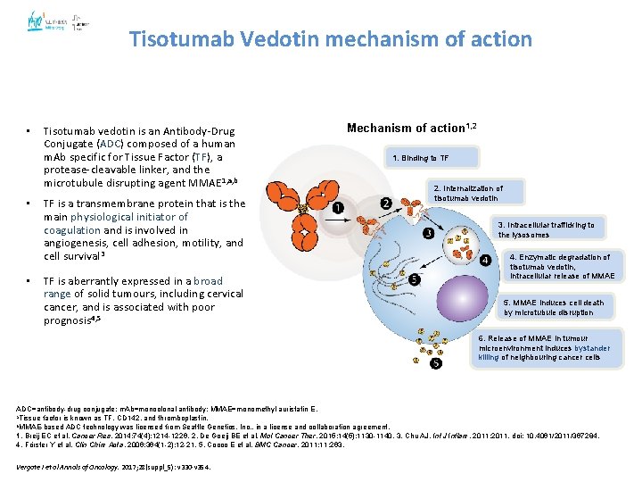 4 5 Tisotumab Vedotin mechanism of action • • • Tisotumab vedotin is an