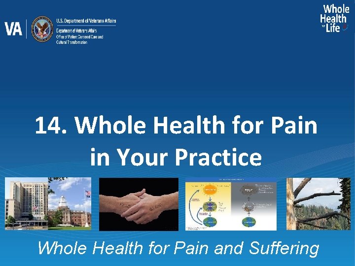 14. Whole Health for Pain in Your Practice Whole Health for Pain and Suffering