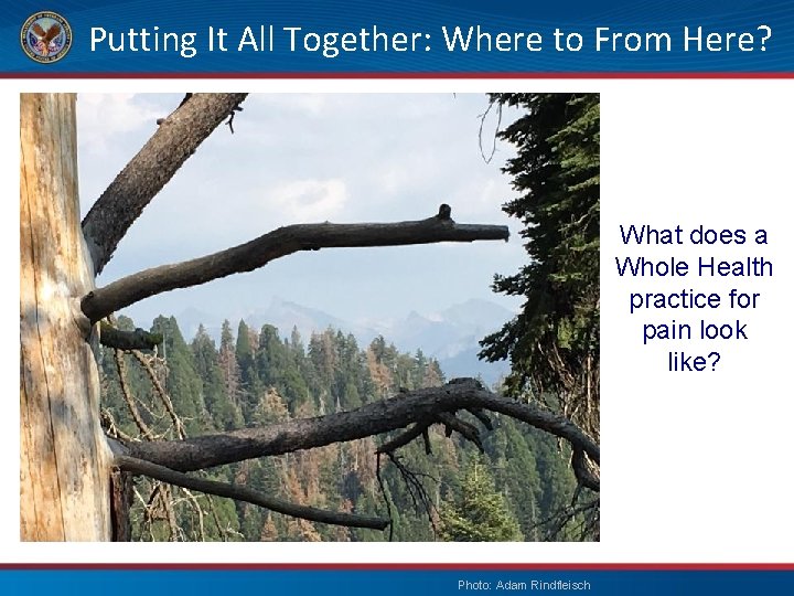 Putting It All Together: Where to From Here? What does a Whole Health practice