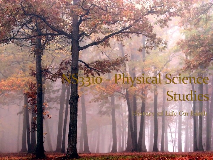 NS 3310 - Physical Science Studies History of Life On Earth 