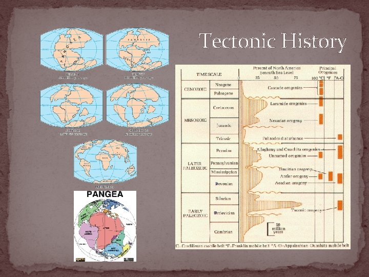 Tectonic History 
