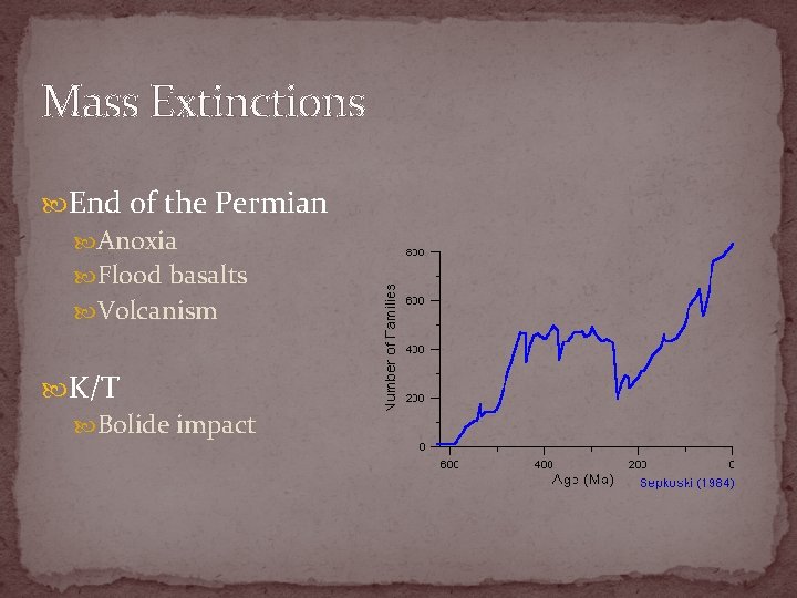 Mass Extinctions End of the Permian Anoxia Flood basalts Volcanism K/T Bolide impact 