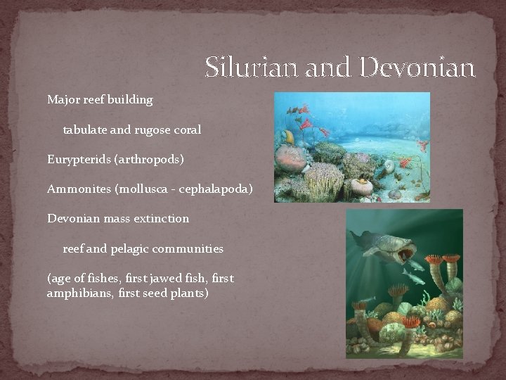 Silurian and Devonian Major reef building tabulate and rugose coral Eurypterids (arthropods) Ammonites (mollusca