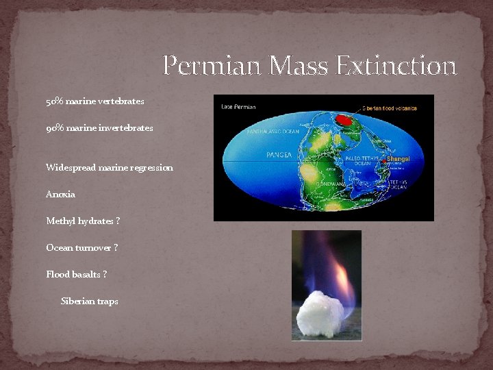 Permian Mass Extinction 50% marine vertebrates 90% marine invertebrates Widespread marine regression Anoxia Methyl