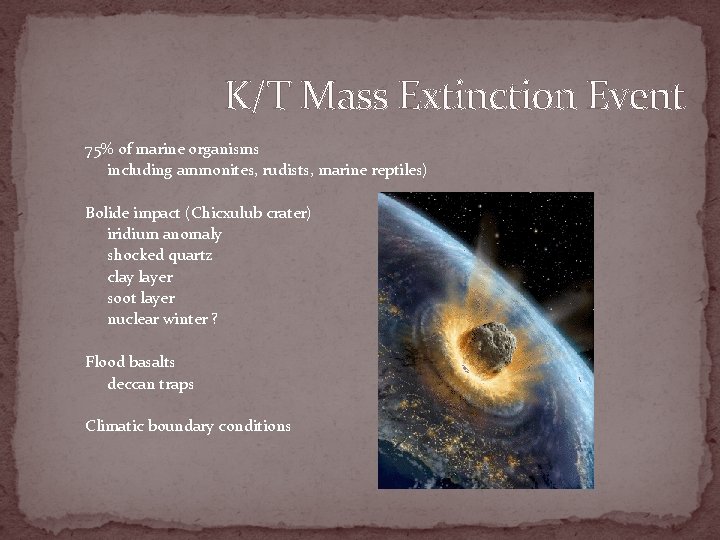 K/T Mass Extinction Event 75% of marine organisms including ammonites, rudists, marine reptiles) Bolide