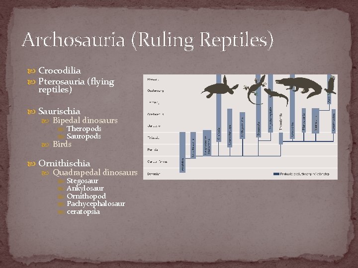 Archosauria (Ruling Reptiles) Crocodilia Pterosauria (flying reptiles) Saurischia Bipedal dinosaurs Theropods Sauropods Birds Ornithischia
