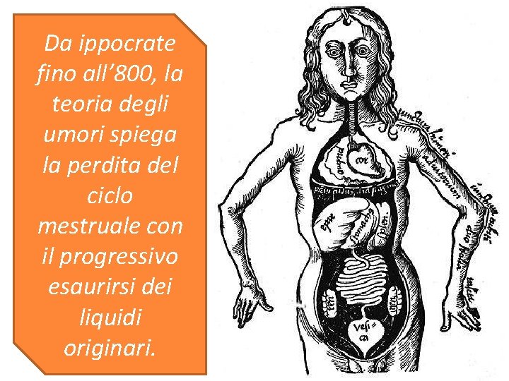 Da ippocrate fino all’ 800, la teoria degli umori spiega la perdita del ciclo