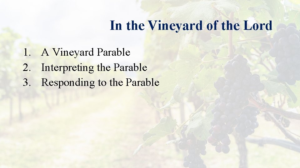 In the Vineyard of the Lord 1. A Vineyard Parable 2. Interpreting the Parable