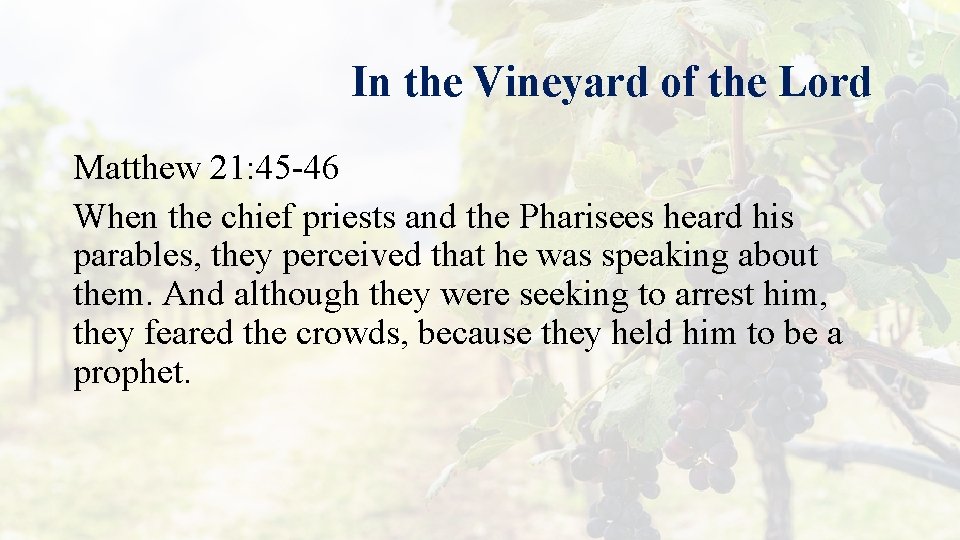 In the Vineyard of the Lord Matthew 21: 45 -46 When the chief priests