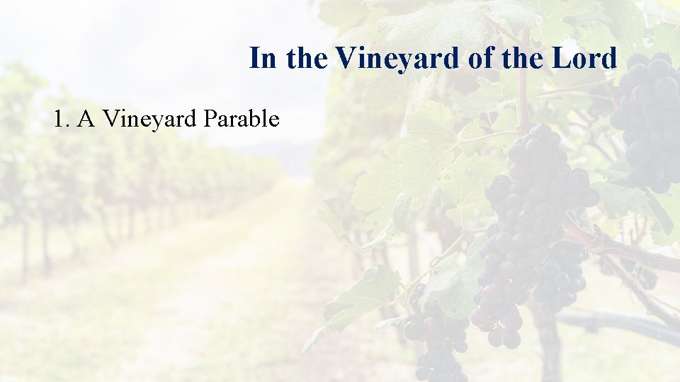 In the Vineyard of the Lord 1. A Vineyard Parable 
