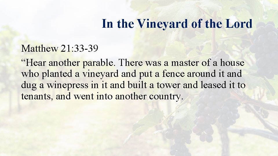 In the Vineyard of the Lord Matthew 21: 33 -39 “Hear another parable. There
