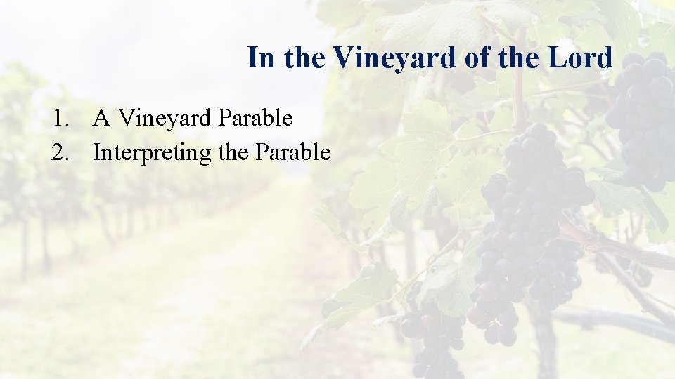 In the Vineyard of the Lord 1. A Vineyard Parable 2. Interpreting the Parable
