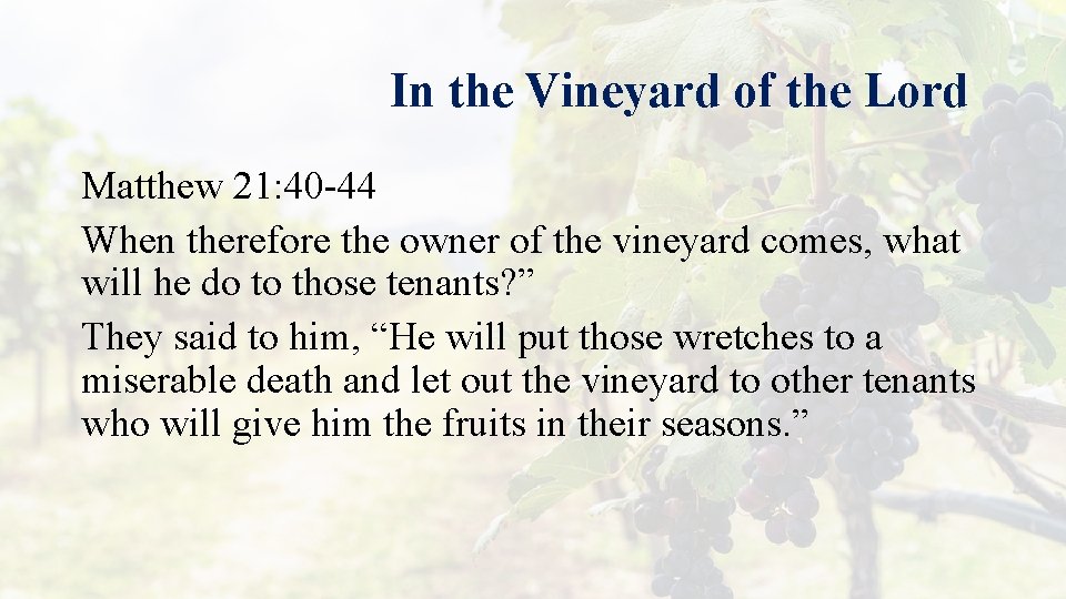 In the Vineyard of the Lord Matthew 21: 40 -44 When therefore the owner