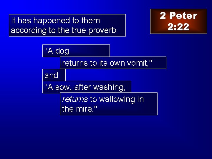 It has happened to them according to the true proverb "A dog returns to