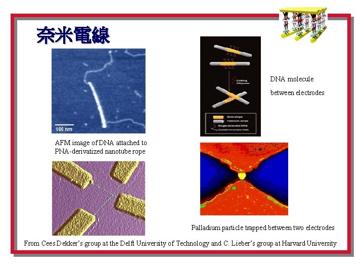 奈米電線 DNA molecule between electrodes AFM image of DNA attached to PNA-derivatized nanotube rope