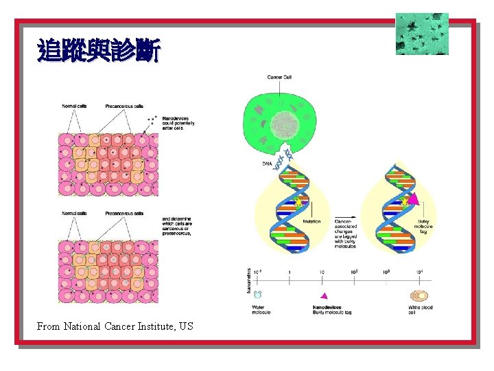 追蹤與診斷 From National Cancer Institute, US 