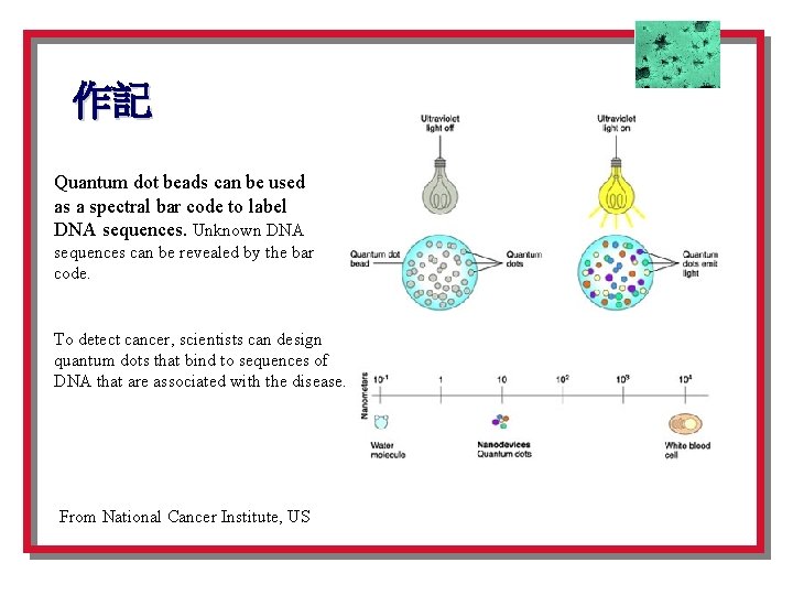 作記 Quantum dot beads can be used as a spectral bar code to label