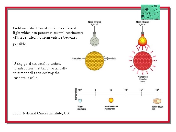 Gold nanoshell can absorb near-infrared light which can penetrate several centimeters of tissue. Heating
