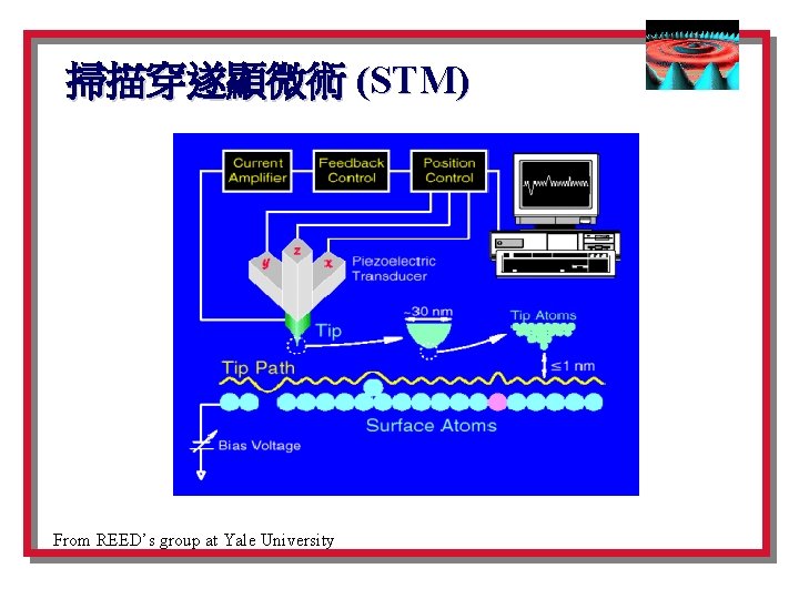 掃描穿遂顯微術 (STM) From REED’s group at Yale University 