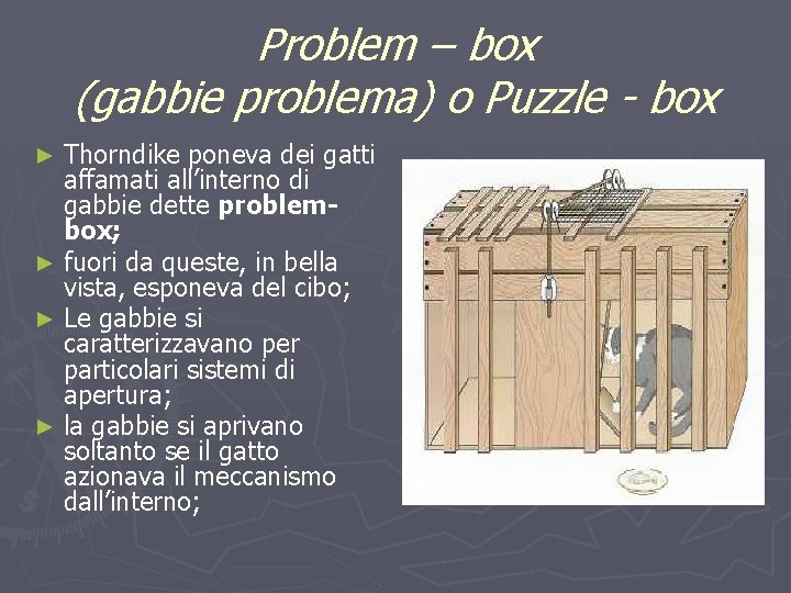Problem – box (gabbie problema) o Puzzle - box Thorndike poneva dei gatti affamati
