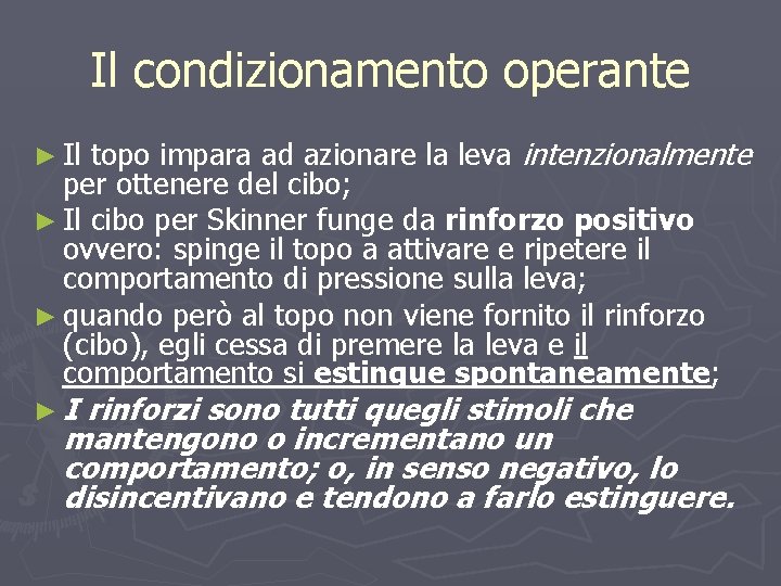 Il condizionamento operante topo impara ad azionare la leva intenzionalmente per ottenere del cibo;