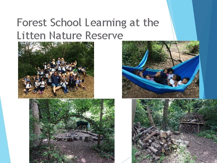 Forest School Learning at the Litten Nature Reserve 