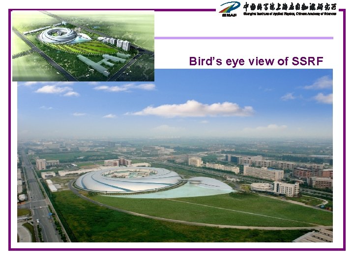 Bird’s eye view of SSRF 