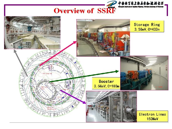 Overview of SSRF 