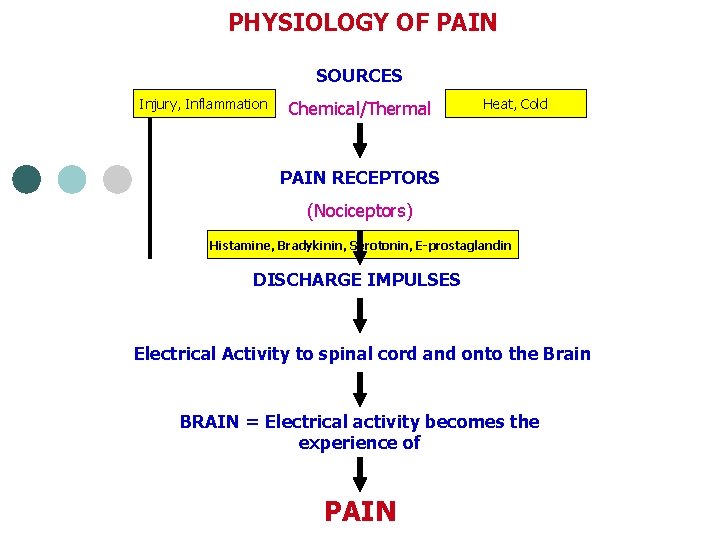 PHYSIOLOGY OF PAIN SOURCES Injury, Inflammation Chemical/Thermal Heat, Cold PAIN RECEPTORS (Nociceptors) Histamine, Bradykinin,