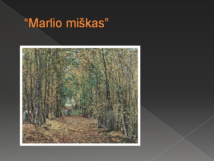 “Marlio miškas” 