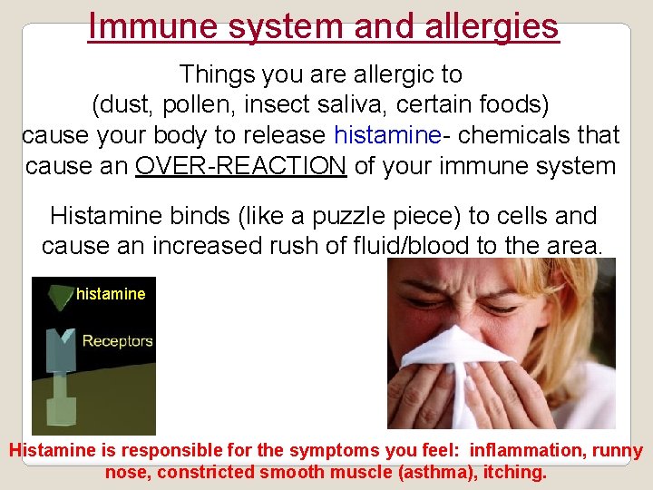 Immune system and allergies Things you are allergic to (dust, pollen, insect saliva, certain