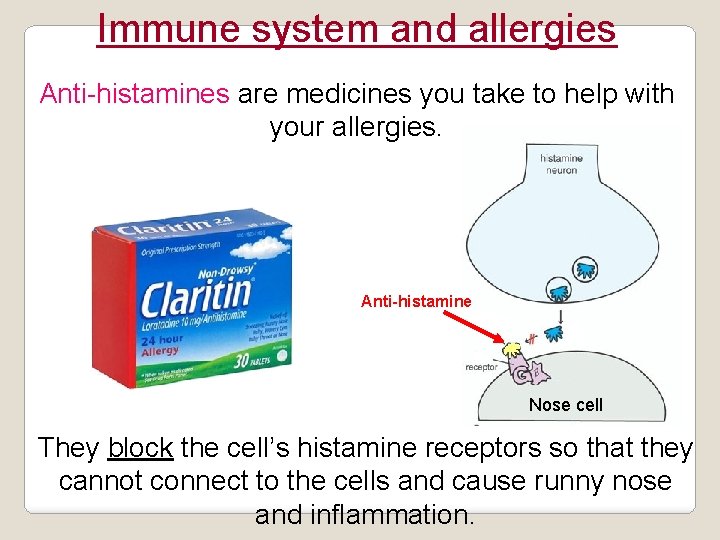 Immune system and allergies Anti-histamines are medicines you take to help with your allergies.