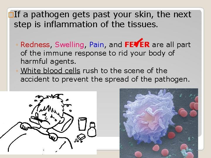 �If a pathogen gets past your skin, the next step is inflammation of the