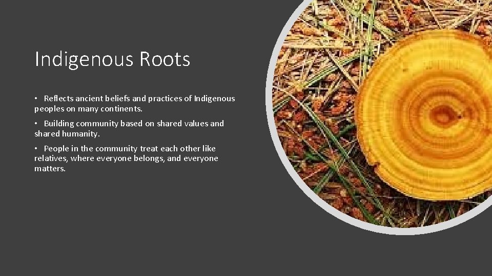 Indigenous Roots • Reflects ancient beliefs and practices of Indigenous peoples on many continents.