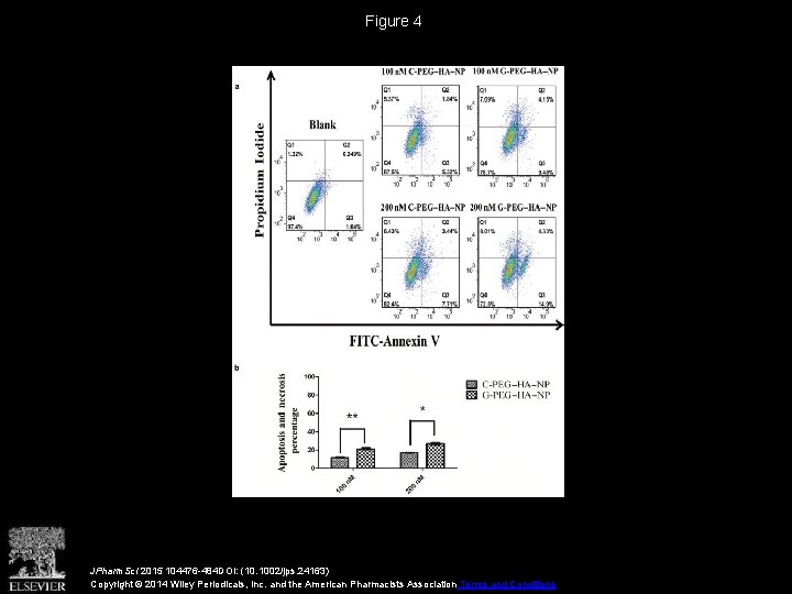 Figure 4 JPharm. Sci 2015 104476 -484 DOI: (10. 1002/jps. 24163) Copyright © 2014