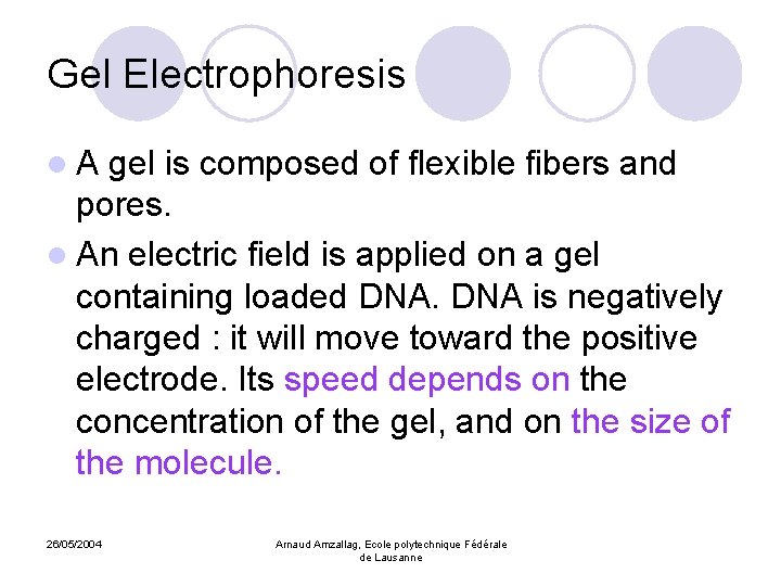 Gel Electrophoresis l. A gel is composed of flexible fibers and pores. l An