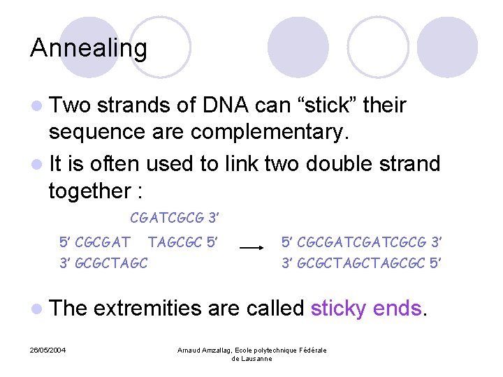 Annealing l Two strands of DNA can “stick” their sequence are complementary. l It