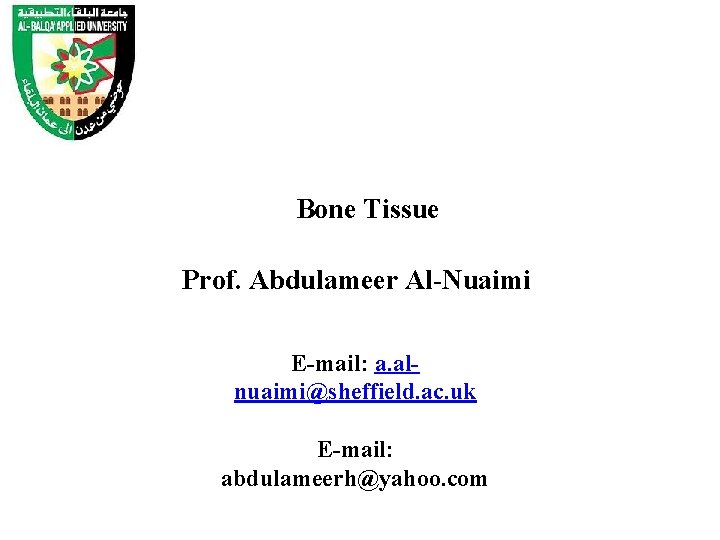 Bone Tissue Prof. Abdulameer Al-Nuaimi E-mail: a. alnuaimi@sheffield. ac. uk E-mail: abdulameerh@yahoo. com 