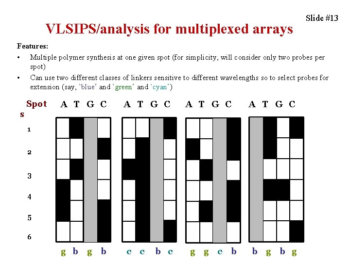 VLSIPS/analysis for multiplexed arrays Slide #13 Features: • Multiple polymer synthesis at one given