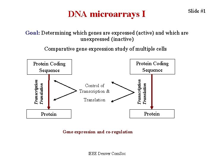 DNA microarrays I Slide #1 Goal: Determining which genes are expressed (active) and which
