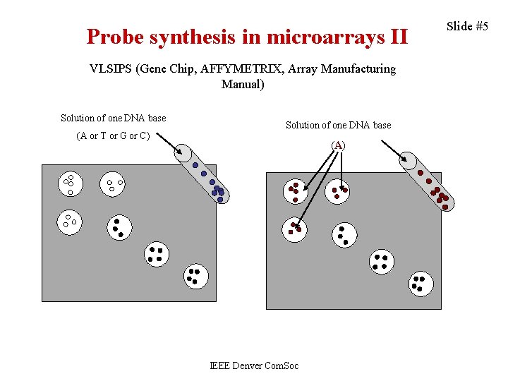 Probe synthesis in microarrays II VLSIPS (Gene Chip, AFFYMETRIX, Array Manufacturing Manual) Solution of