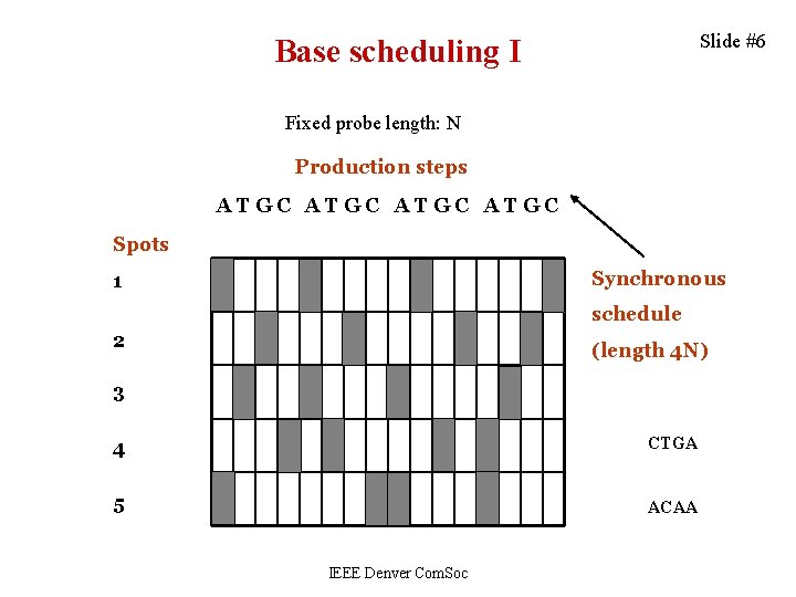 Slide #6 Base scheduling I Fixed probe length: N Production steps ATGC Spots Synchronous