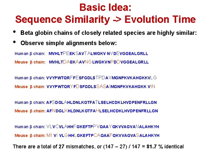 Basic Idea: Sequence Similarity -> Evolution Time • Beta globin chains of closely related