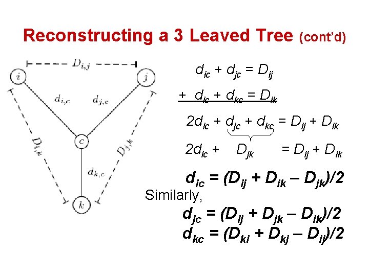 Reconstructing a 3 Leaved Tree (cont’d) dic + djc = Dij + dic +